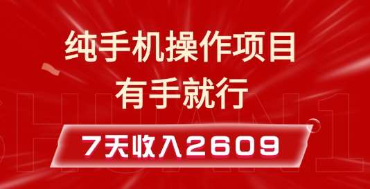 纯手机操作的小项目，有手就能做，7天收入2609+实操教程【揭秘】-领学通