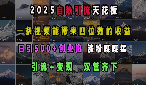 2025自热引流天花板，一条视频能带来四位数的收益，引流+变现双管齐下，日引500+创业粉，涨粉嘎嘎猛-领学通
