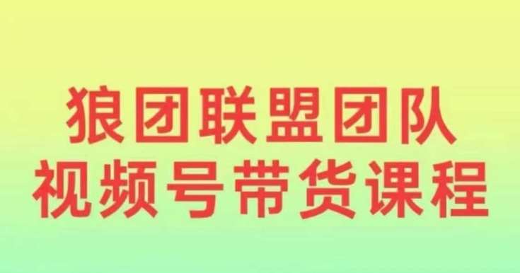 狼团联盟2024视频号带货，0基础小白快速入局视频号-领学通