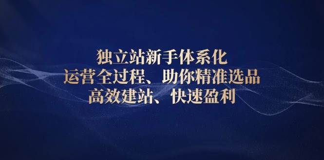 （13914期）独立站新手体系化 运营全过程，助你精准选品、高效建站、快速盈利-领学通