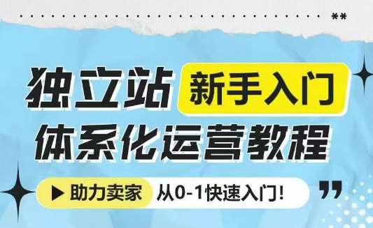 独立站新手入门体系化运营教程，助力独立站卖家从0-1快速入门!-领学通