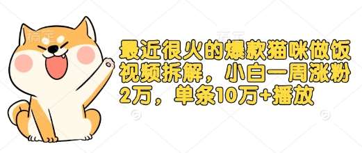 最近很火的爆款猫咪做饭视频拆解，小白一周涨粉2万，单条10万+播放(附保姆级教程)-领学通