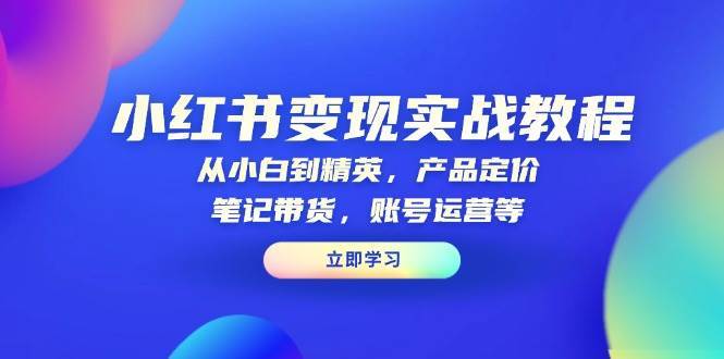 小红书变现实战教程：从小白到精英，产品定价，笔记带货，账号运营等-领学通