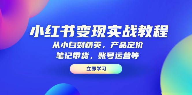 （13923期）小红书变现实战教程：从小白到精英，产品定价，笔记带货，账号运营等-领学通