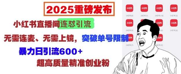 2025重磅发布：小红书直播间连怼引流，无需连麦、无需上镜，突破单号限制，暴力日引流600+-领学通