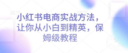 小红书电商实战方法，让你从小白到精英，保姆级教程-领学通