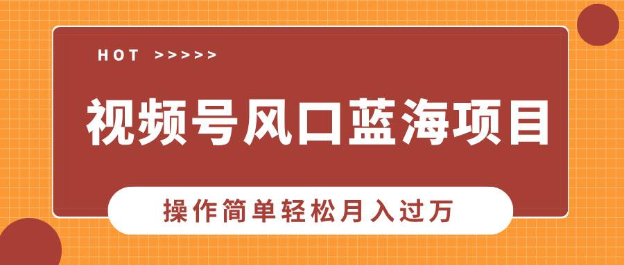 （13945期）视频号风口蓝海项目，中老年人的流量密码，操作简单轻松月入过万-领学通