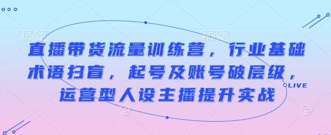 直播带货流量训练营，行业基础术语扫盲，起号及账号破层级，运营型人设主播提升实战-领学通