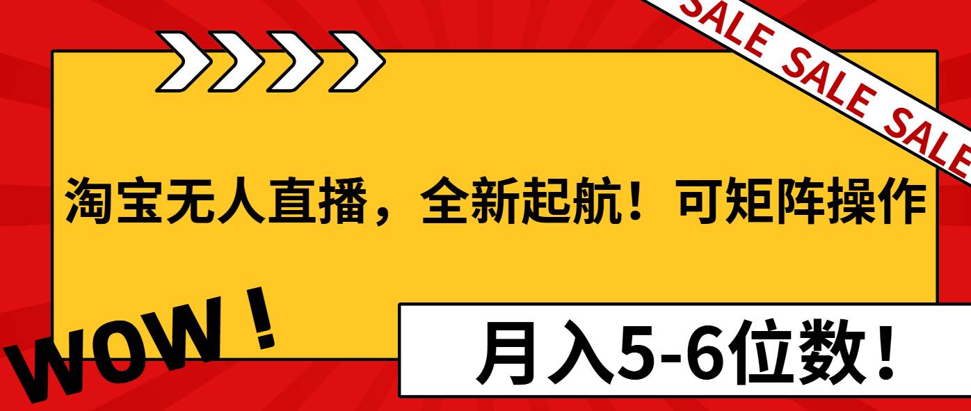 （13946期）淘宝无人直播，全新起航！可矩阵操作，月入5-6位数！-领学通
