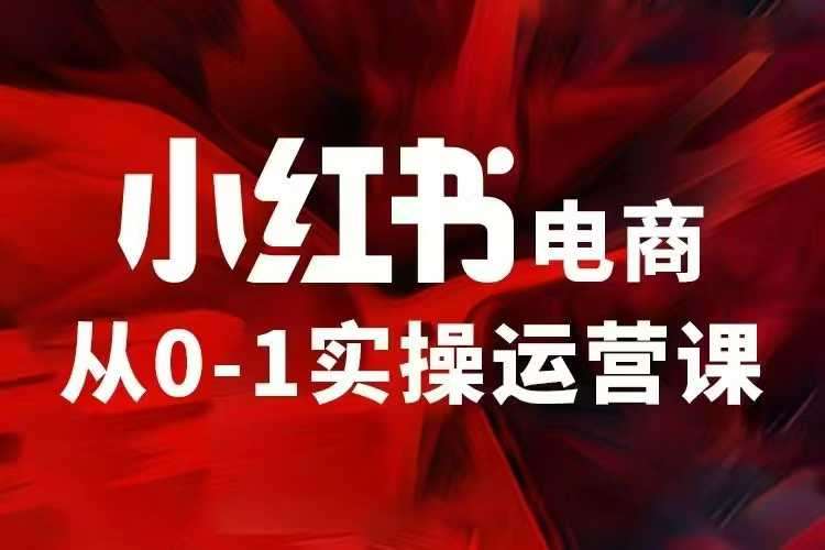 小红书电商运营，97节小红书vip内部课，带你实现小红书赚钱-领学通