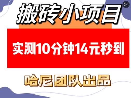 搬砖小项目，实测10分钟14元秒到，每天稳定几张(赠送必看稳定)-领学通