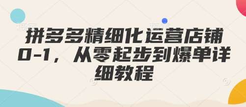 拼多多精细化运营店铺0-1，从零起步到爆单详细教程-领学通