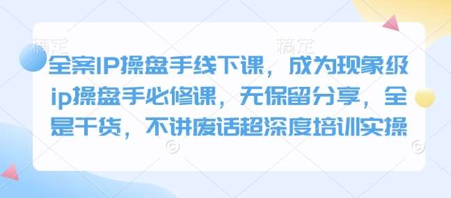 全案IP操盘手线下课，成为现象级ip操盘手必修课，无保留分享，全是干货，不讲废话超深度培训实操-领学通
