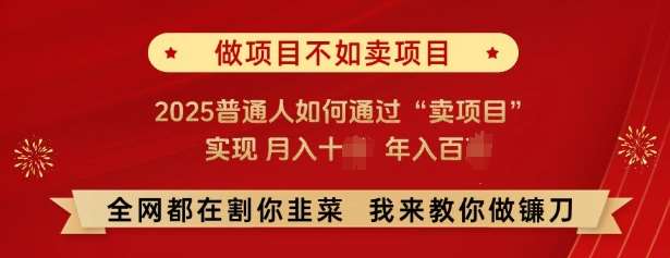 必看，做项目不如卖项目，2025普通人如何通过“卖项目”实现月入十个，年入百个-领学通