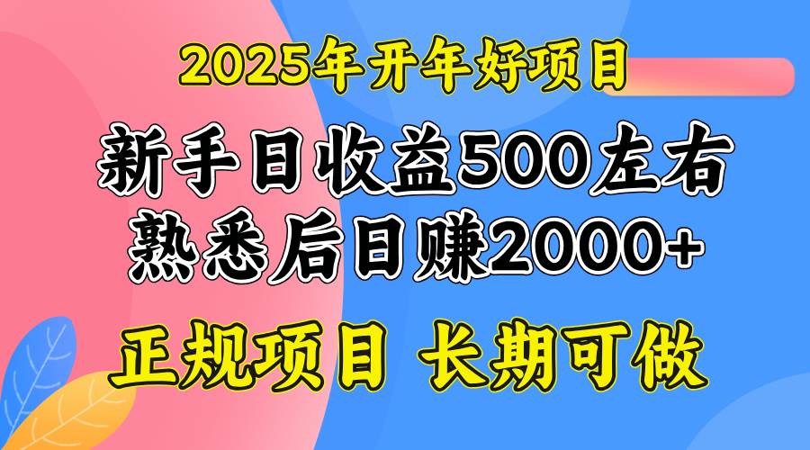 （14076期）2025开年好项目，单号日收益2000左右-领学通