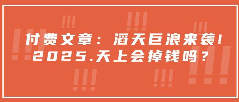 付费文章：滔天巨浪来袭！2025天上会掉钱吗？-领学通