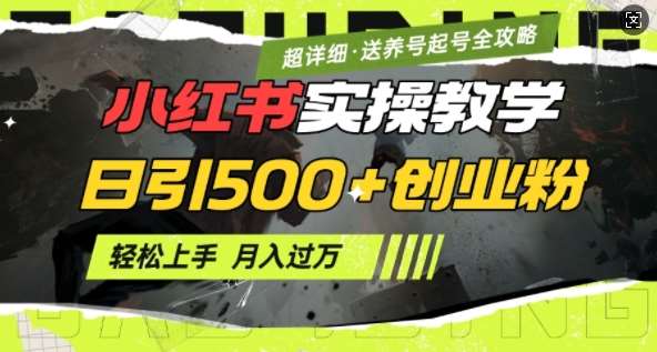 2月小红书最新日引500+创业粉实操教学【超详细】小白轻松上手，月入1W+，附小红书养号起号SOP-领学通