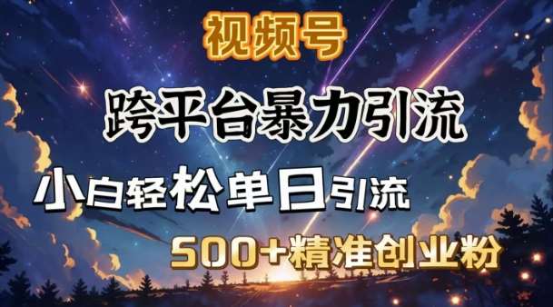 跨平台暴力引流，私域完美闭环，日引500+精准创业粉-领学通