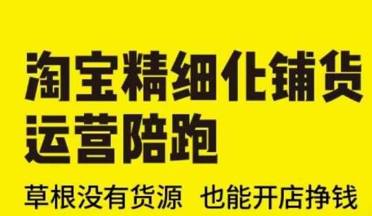 淘宝精细化铺货运营陪跑(部分更新至2025)，草根没有货源 也能开店挣钱-领学通