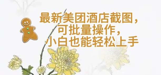 【轻云】最新美团酒店截图，可批量操作，小白也能轻松上手-领学通