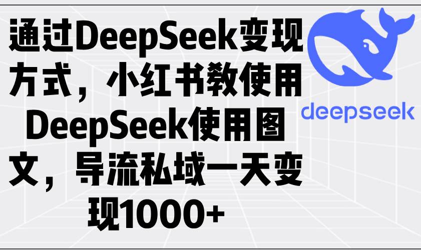 （14179期）通过DeepSeek变现方式，小红书教使用DeepSeek图文，导流私域一天变现1000+-领学通