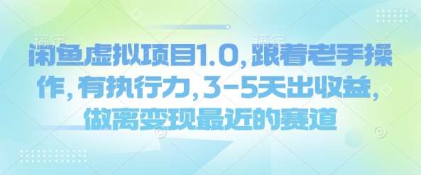 闲鱼虚拟项目1.0，跟着老手操作，有执行力，3-5天出收益，做离变现最近的赛道-领学通