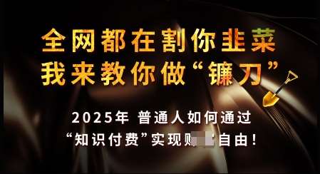 知识付费如何做到月入过W+，2025我来教你做“镰刀”【揭秘】-领学通