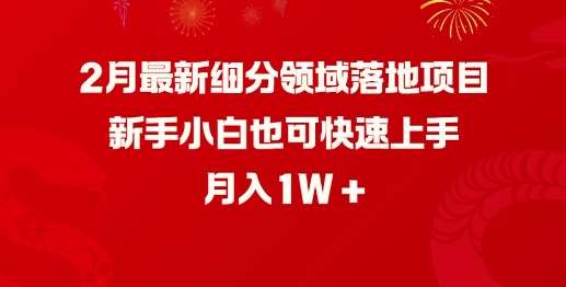 2月最新细分领域落地项目，新手小白也可快速上手，月入1W-领学通