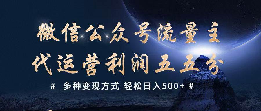 公众号流量主代运营  多种变现方式 轻松日入500+-领学通