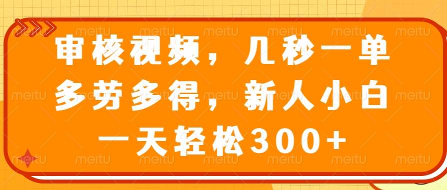 （14294期）审核视频，几秒一单，多劳多得，新人小白一天轻松300+-领学通