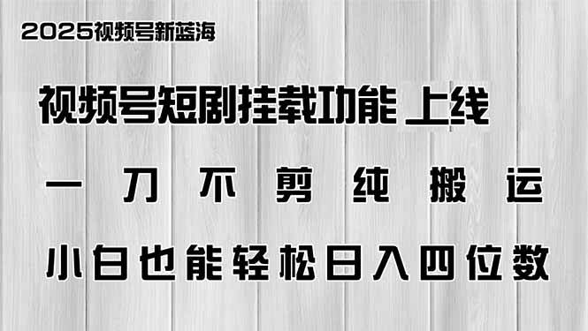（14310期）视频号短剧挂载功能上线，一刀不剪纯搬运，小白也能轻松日入四位数-领学通