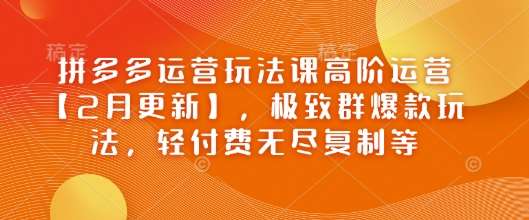 拼多多运营玩法课高阶运营【2月更新】，极致群爆款玩法，轻付费无尽复制等-领学通