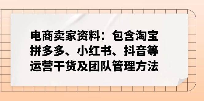 （14354期）电商卖家资料：包含淘宝、拼多多、小红书、抖音等运营干货及团队管理方法-领学通