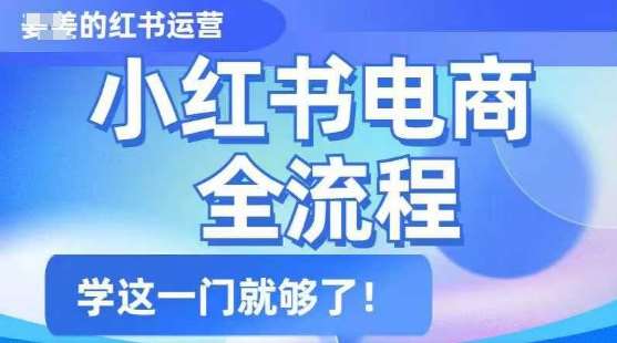 小红书电商全流程，精简易懂，从入门到精通，学这一门就够了-领学通