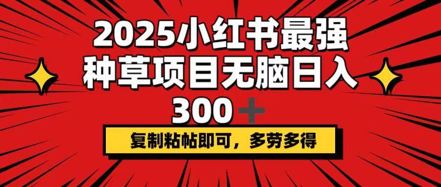 （14375期）2025小红书最强种草项目，无脑日入300+，复制粘帖即可，多劳多得-领学通