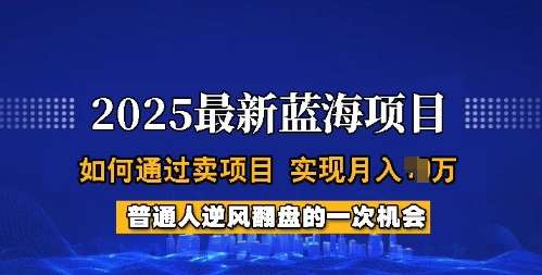 2025蓝海项目，普通人如何通过卖项目，实现月入过W，全过程【揭秘】-领学通