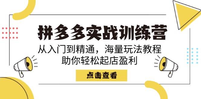 （14392期）拼多多实战训练营，从入门到精通，海量玩法教程，助你轻松起店盈利-领学通