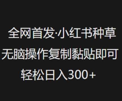 全网首发，小红书种草无脑操作，复制黏贴即可，轻松日入3张-领学通