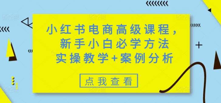 小红书电商高级课程，新手小白必学方法，实操教学+案例分析-领学通