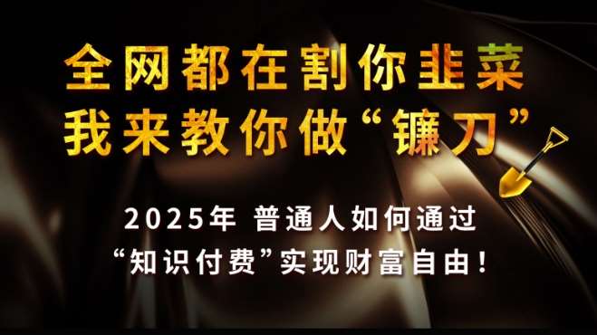 全网都在割你韭菜，我来教你做镰刀,2025普通人如何通过知识付费，实现财F自由【揭秘】-领学通
