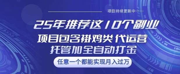 25年推荐这10个副业项目包含褂鸡类、代运营托管类、全自动打金类【揭秘】-领学通