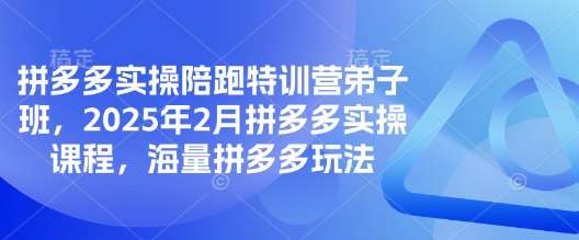 拼多多实操陪跑特训营弟子班，2025年2月拼多多实操课程，海量拼多多玩法-领学通