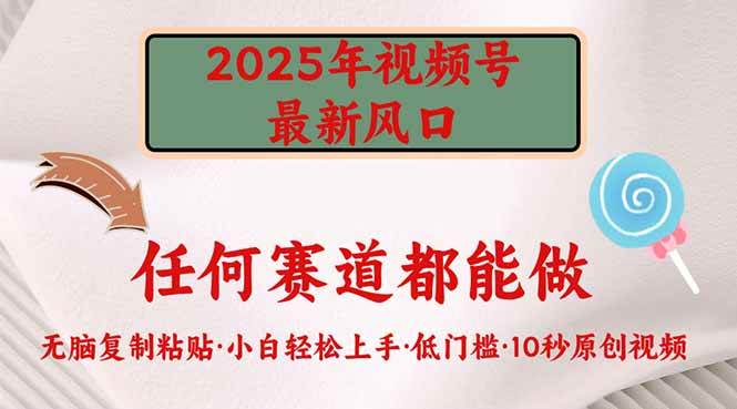 （14453期）2025年视频号新风口，低门槛只需要无脑执行-领学通