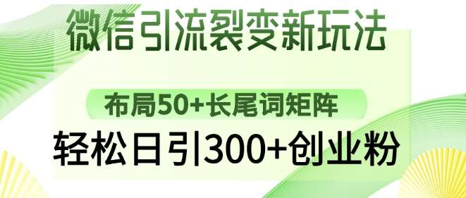 微信引流裂变新玩法：布局50+长尾词矩阵，轻松日引300+创业粉-领学通