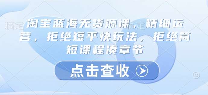 淘宝蓝海无货源课，精细运营，拒绝短平快玩法，拒绝简短课程凑章节-领学通