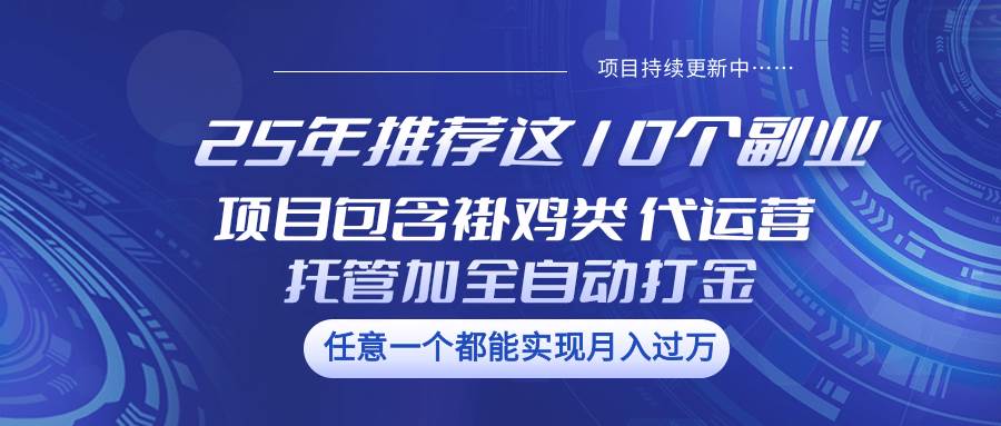 25年推荐这10个副业 项目包含褂鸡类、代运营托管类、全自动打金类-领学通