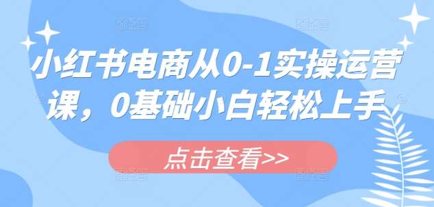 小红书电商从0-1实操运营课，0基础小白轻松上手-领学通