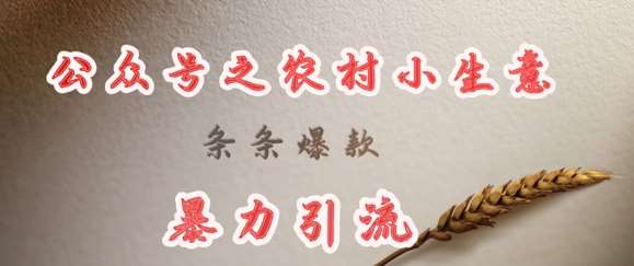deepseek写农村小项目，条条爆款，暴力引流-领学通