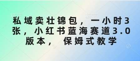 私域卖壮锦包，一小时3张，小红书蓝海赛道3.0版本， 保姆式教学-领学通