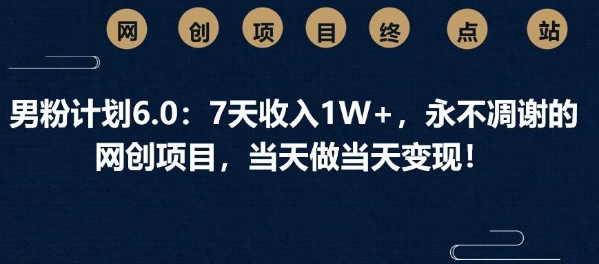 男粉计划6.0：7天收入1W+，永不凋谢的网创项目，当天做当天变现！-领学通